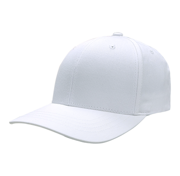 6 Panel Structured Cap - 9406