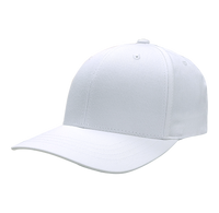 6 Panel Structured Cap - 9406