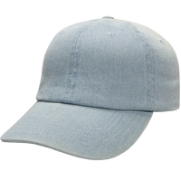 Classic "Dad Hat" - CM30