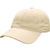 Classic "Dad Hat" - CM30