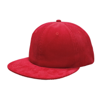 6 Panel Unstructured Corduroy - CRD65
