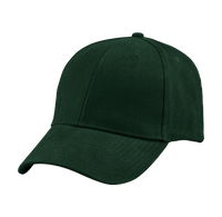 6 Panel Curved Bill Cap - HRP01