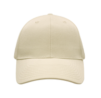 6 Panel Curved Bill Cap - HRP01