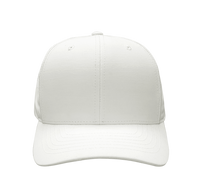 6 Panel Structured Cap - T180