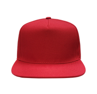 5 Panel Snapback - US01PW