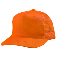 Curved Bill Cap - TR30