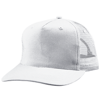 Curved Bill Cap - TR30